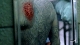 Click here to see the picture (PrisonBreak.115 (187).jpg)